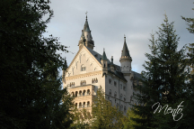 Tirol (232)