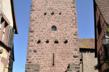 DSC7763