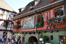 DSC7770