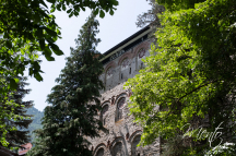 DSCF000-41