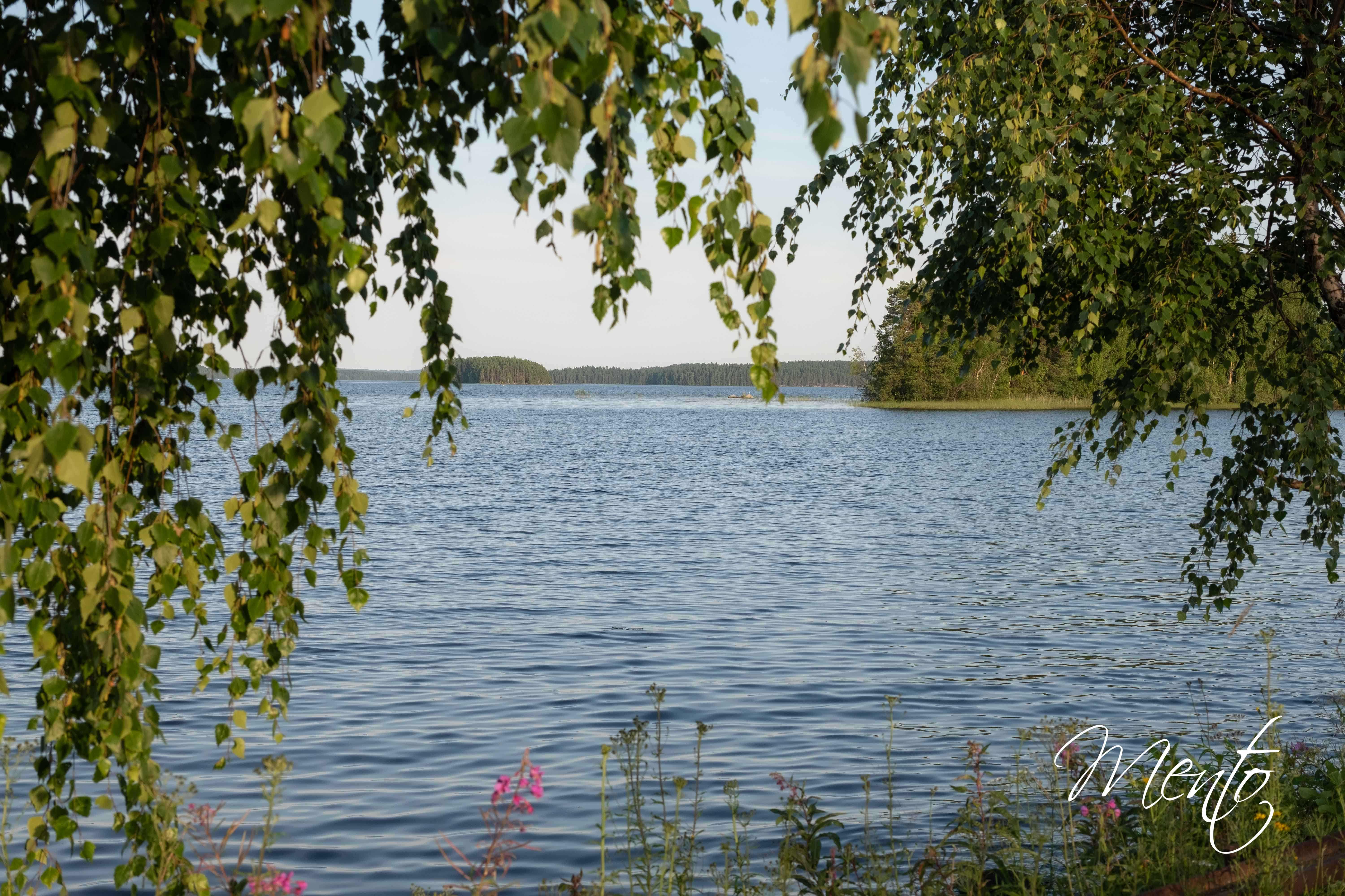 DSCF4926