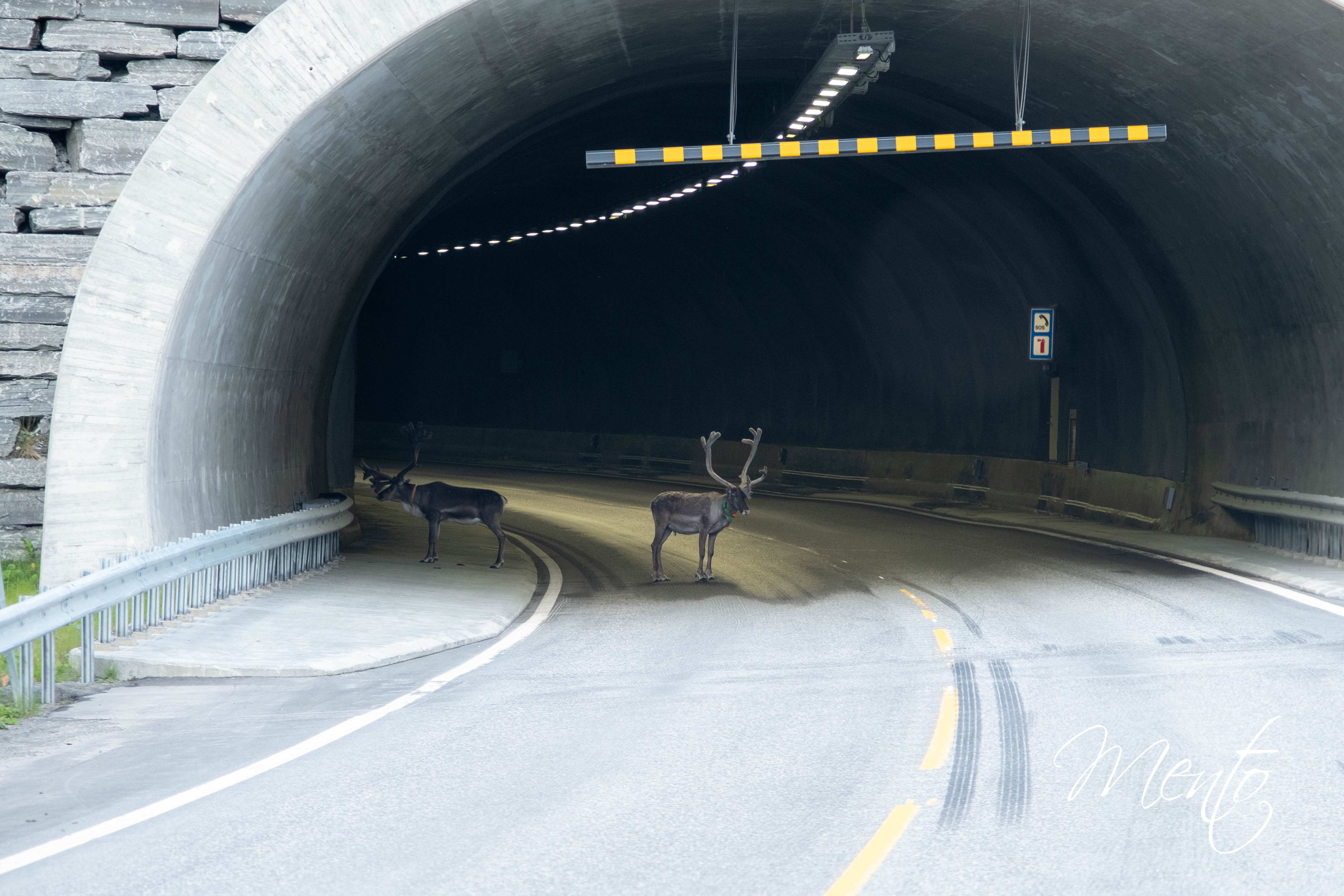 DSCF5737