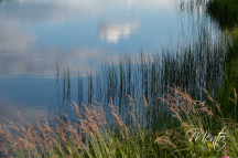 DSCF5011