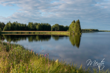 DSCF5037