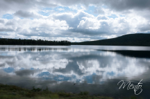 DSCF5107