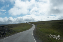 DSCF5337