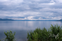 DSCF5731