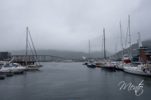 DSCF5935