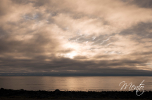 DSCF6396