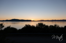 DSCF6594