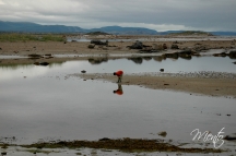 Escandinavia-02-110