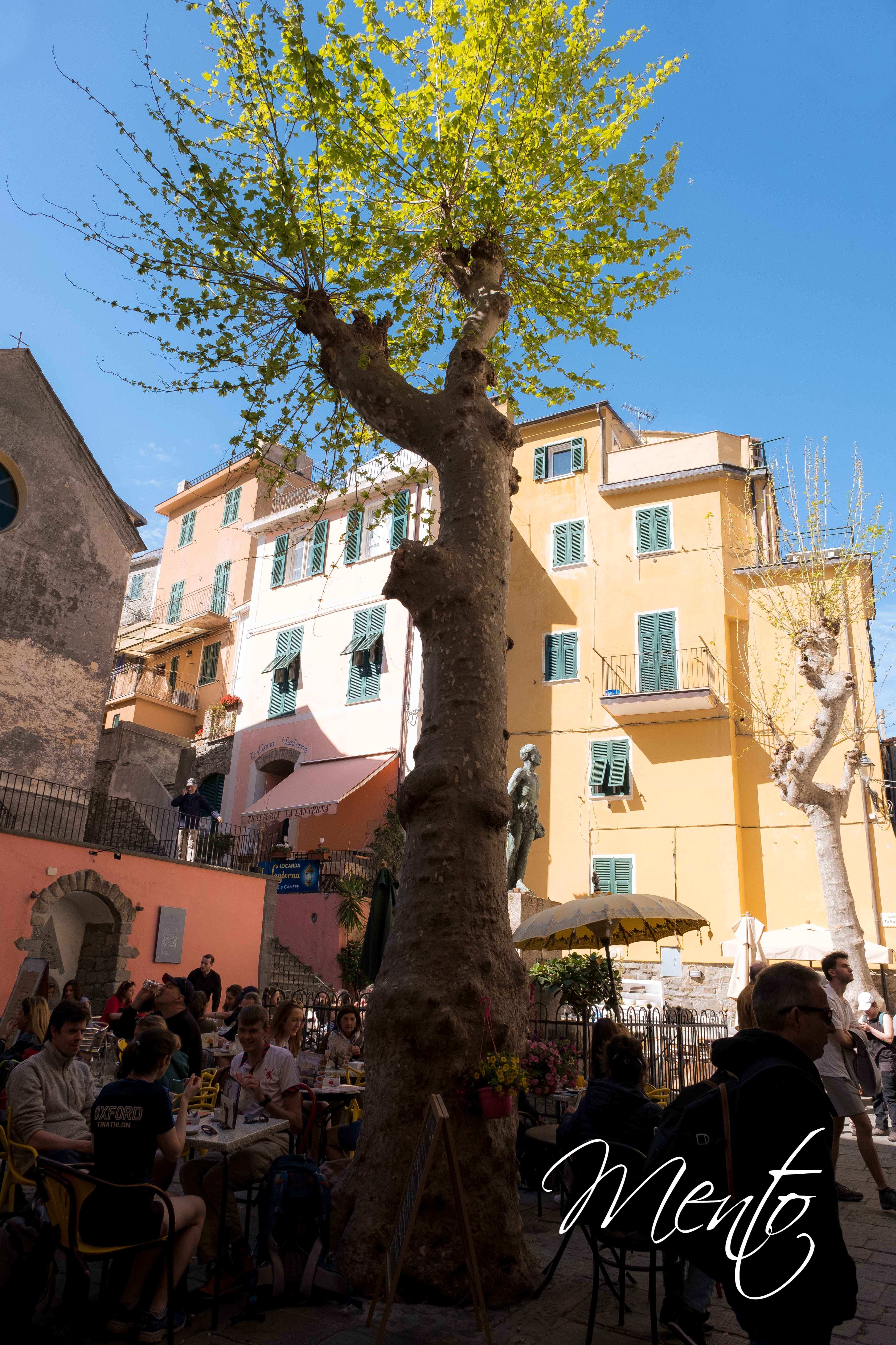 DSCF4169-Editar