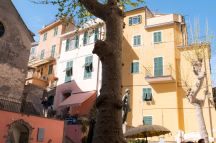 DSCF4169-Editar