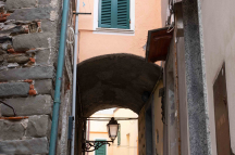 DSCF4610