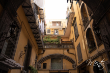 DSCF7990