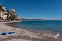 DSCF8800