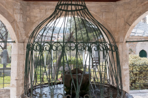 DSCF0346