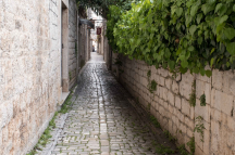 DSCF0728