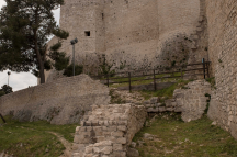 DSCF0742
