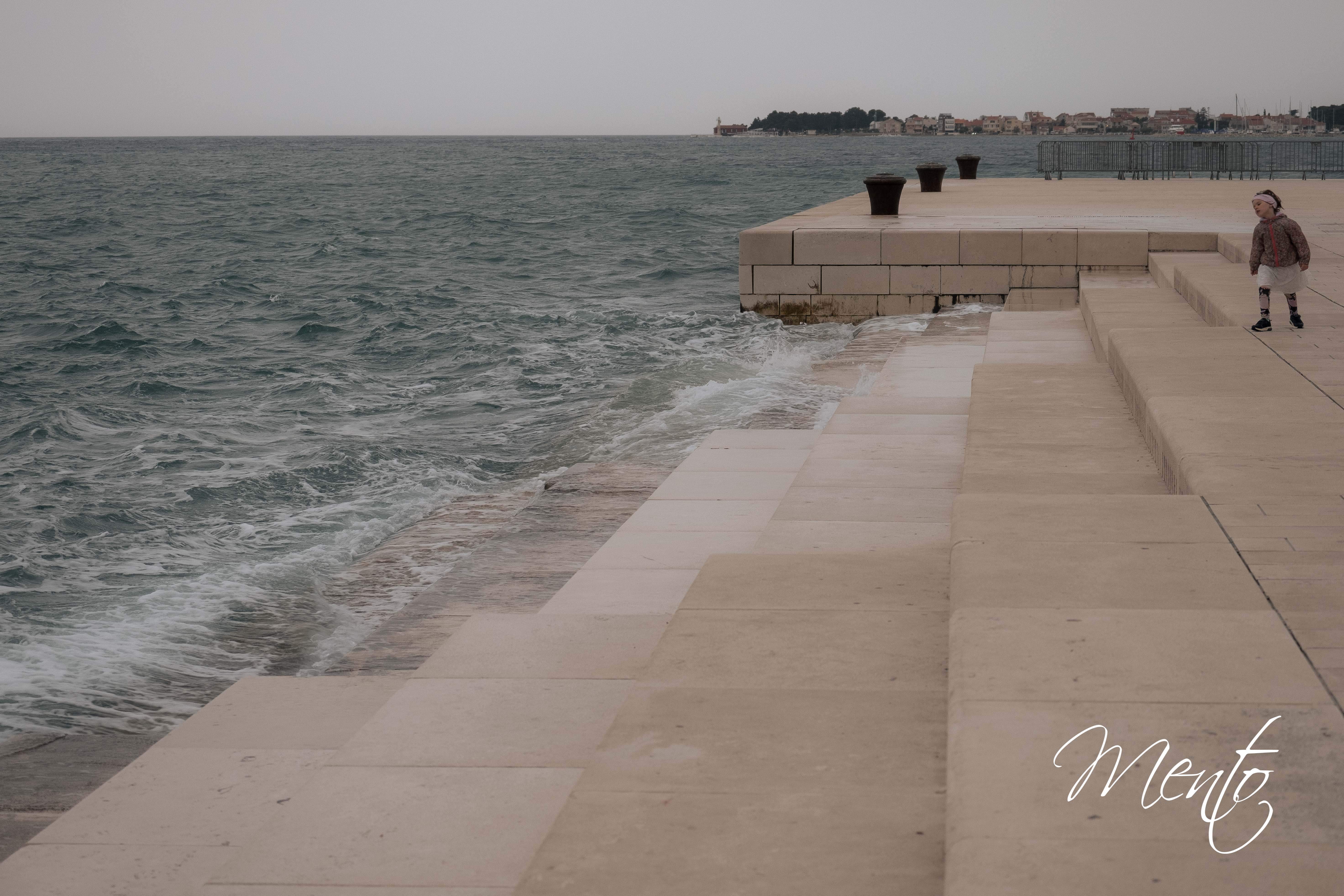 DSCF0828