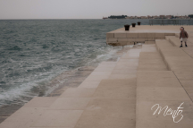 DSCF0828