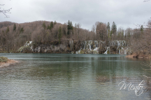 DSCF0871