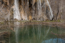 DSCF0996
