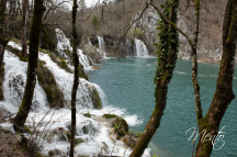 DSCF1032