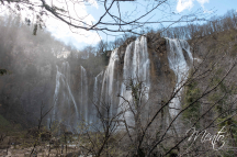 DSCF1145
