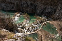 DSCF1171