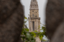 DSCF1222