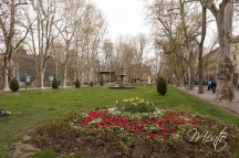 DSCF1312
