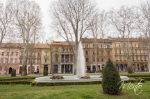 DSCF1331