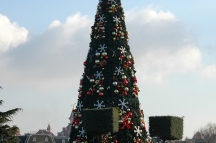 R2006 (11)