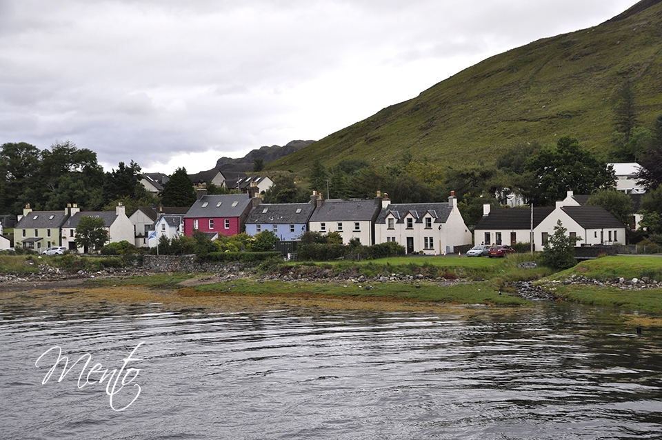 _DSC7974