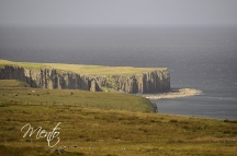 _DSC8003