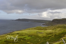 _DSC8058
