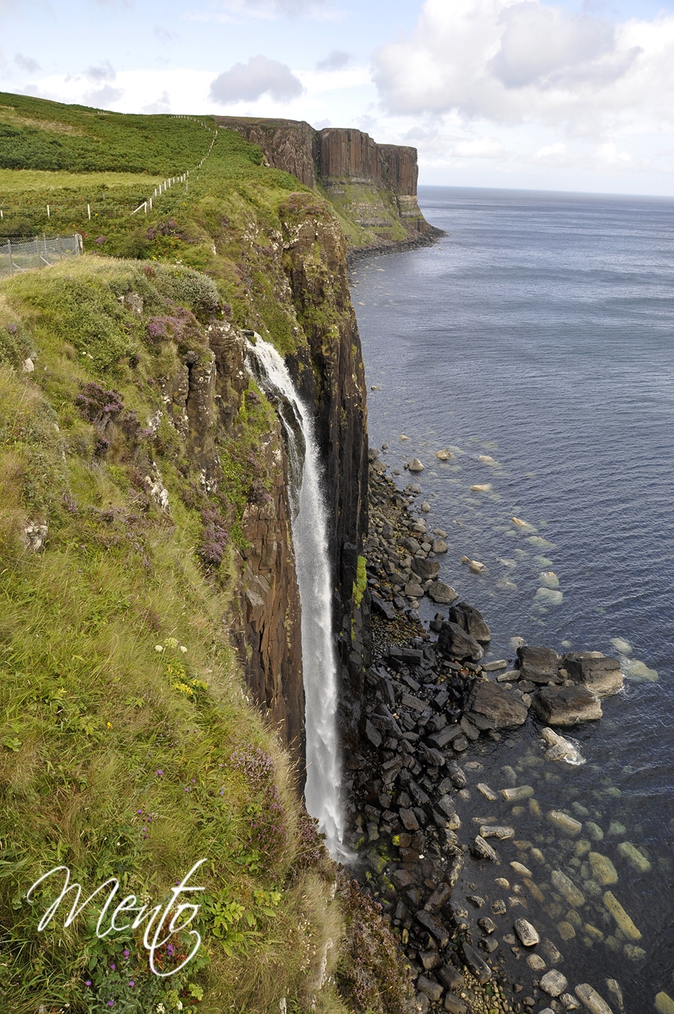 _DSC8130
