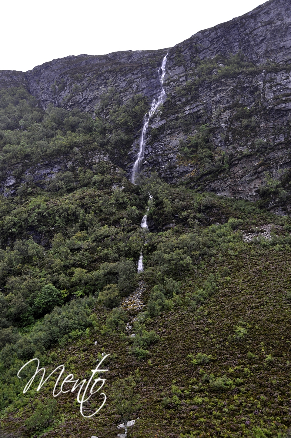 _DSC8682