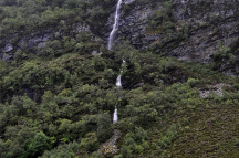 _DSC8682