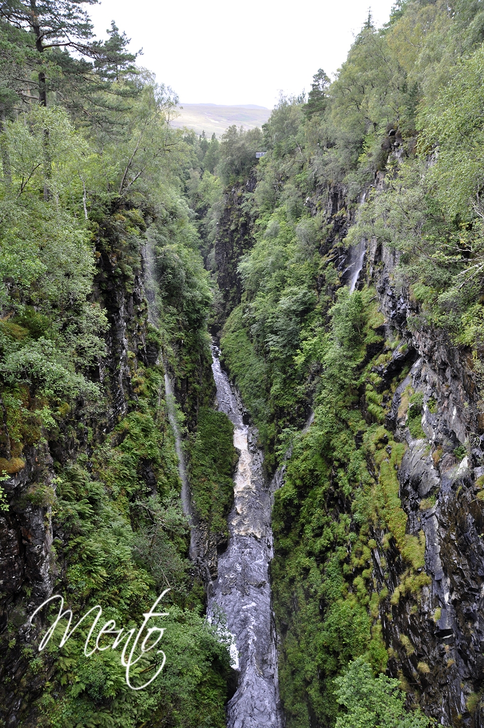 _DSC8744