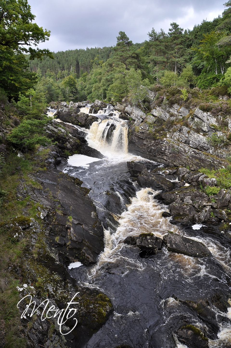 _DSC8757