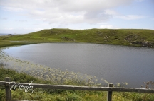 Loch Cleat