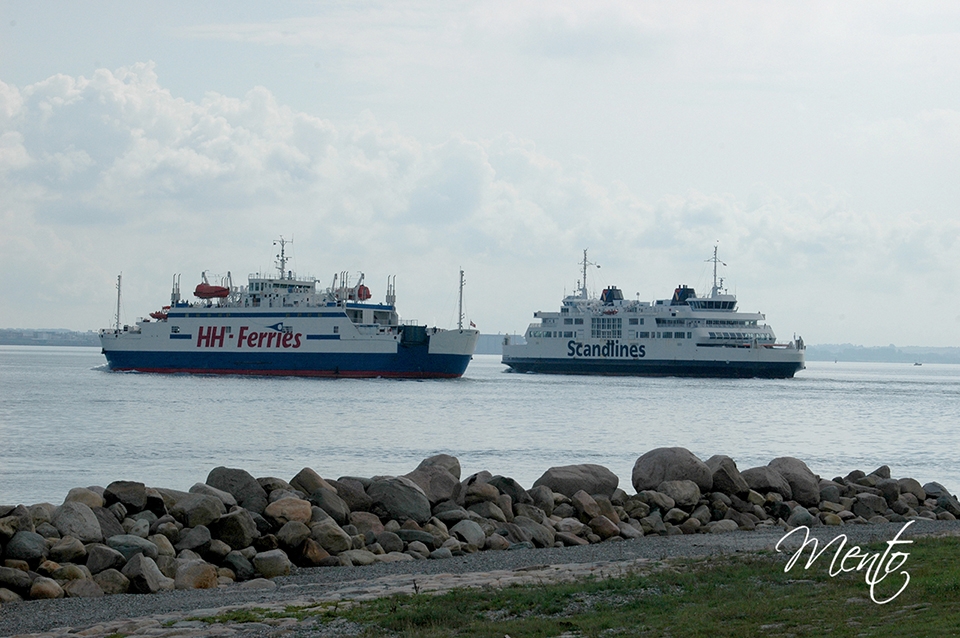 Fiordos (78)