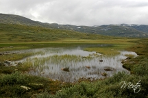 Fiordos (8)