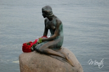 Fiordos (81)