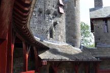 DSC1854