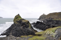 DSC2279