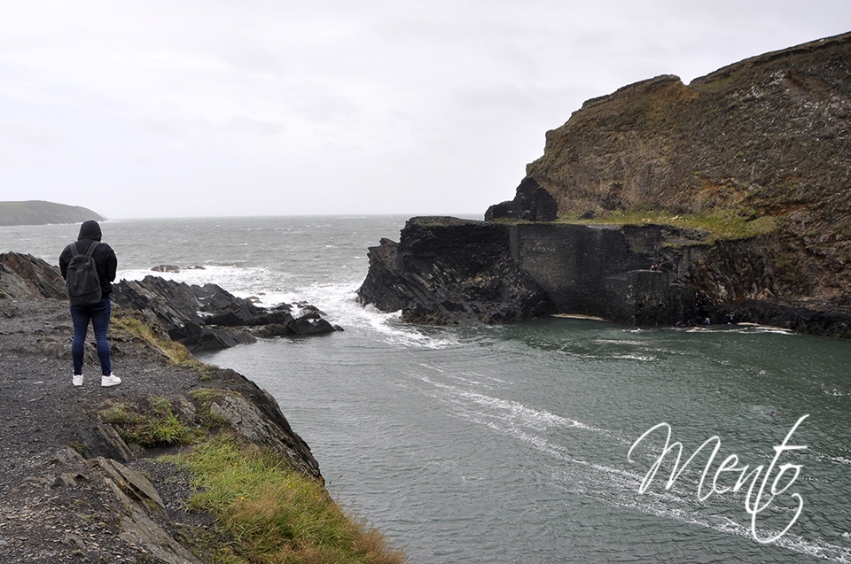 DSC2296
