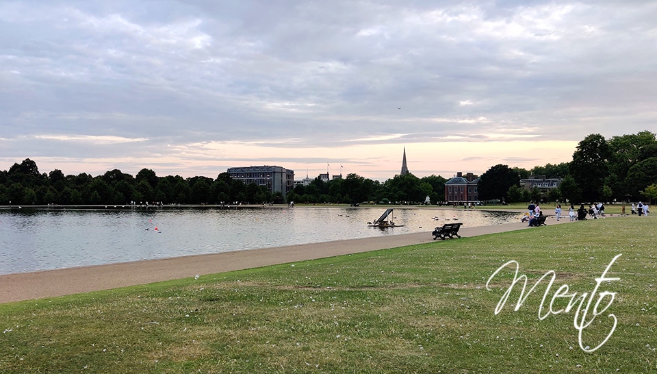 IMG_20190803_203413